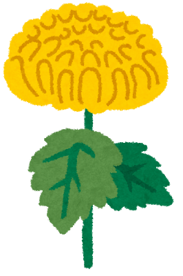 菊のイラスト