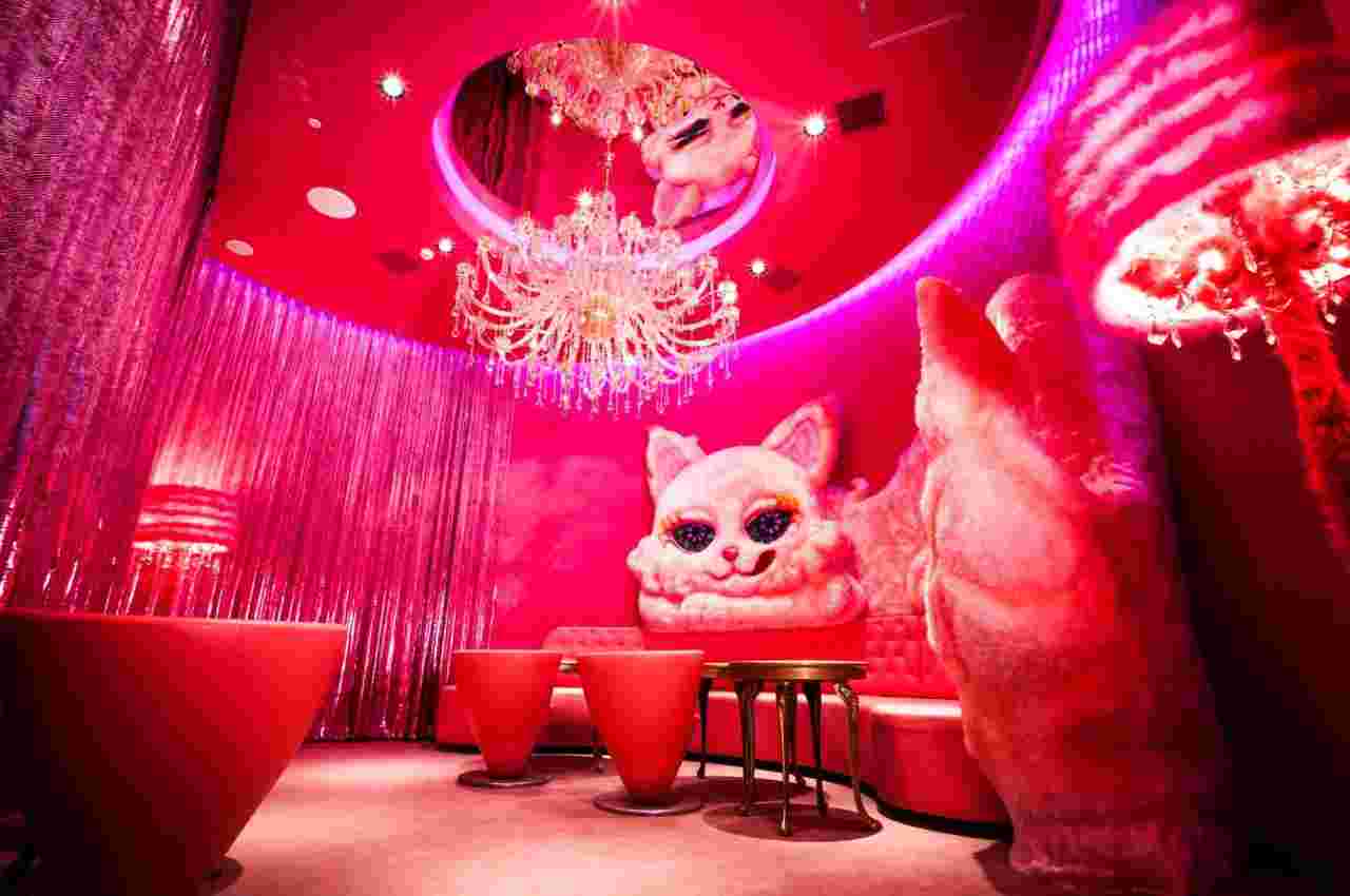 大きな白猫が横たわる全面ピンクのゴージャスな部屋