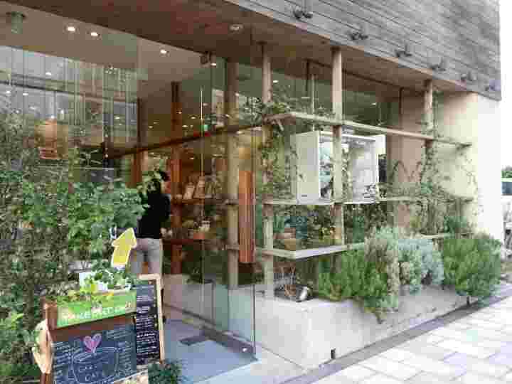 木材を基調とした緑溢れるお店の入り口