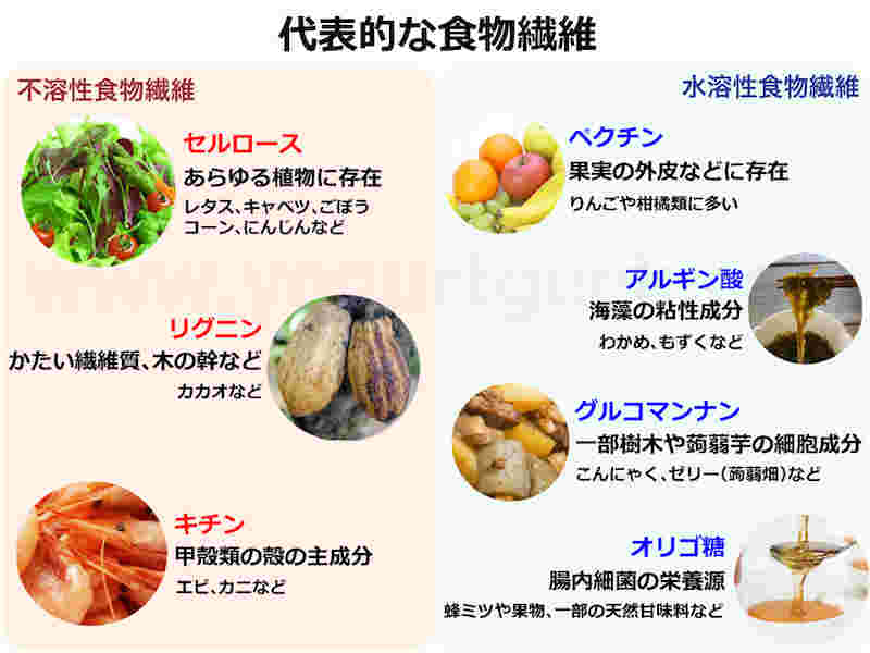 食物繊維の種類の説明