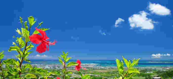 沖縄の景色