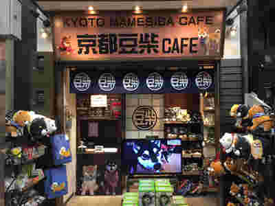 京都豆柴カフェ外観