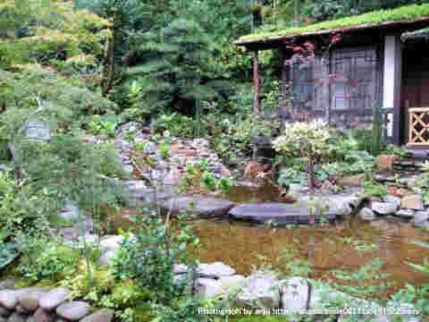 錦庭の庭園