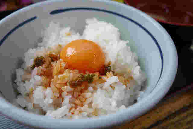 食堂かめっち