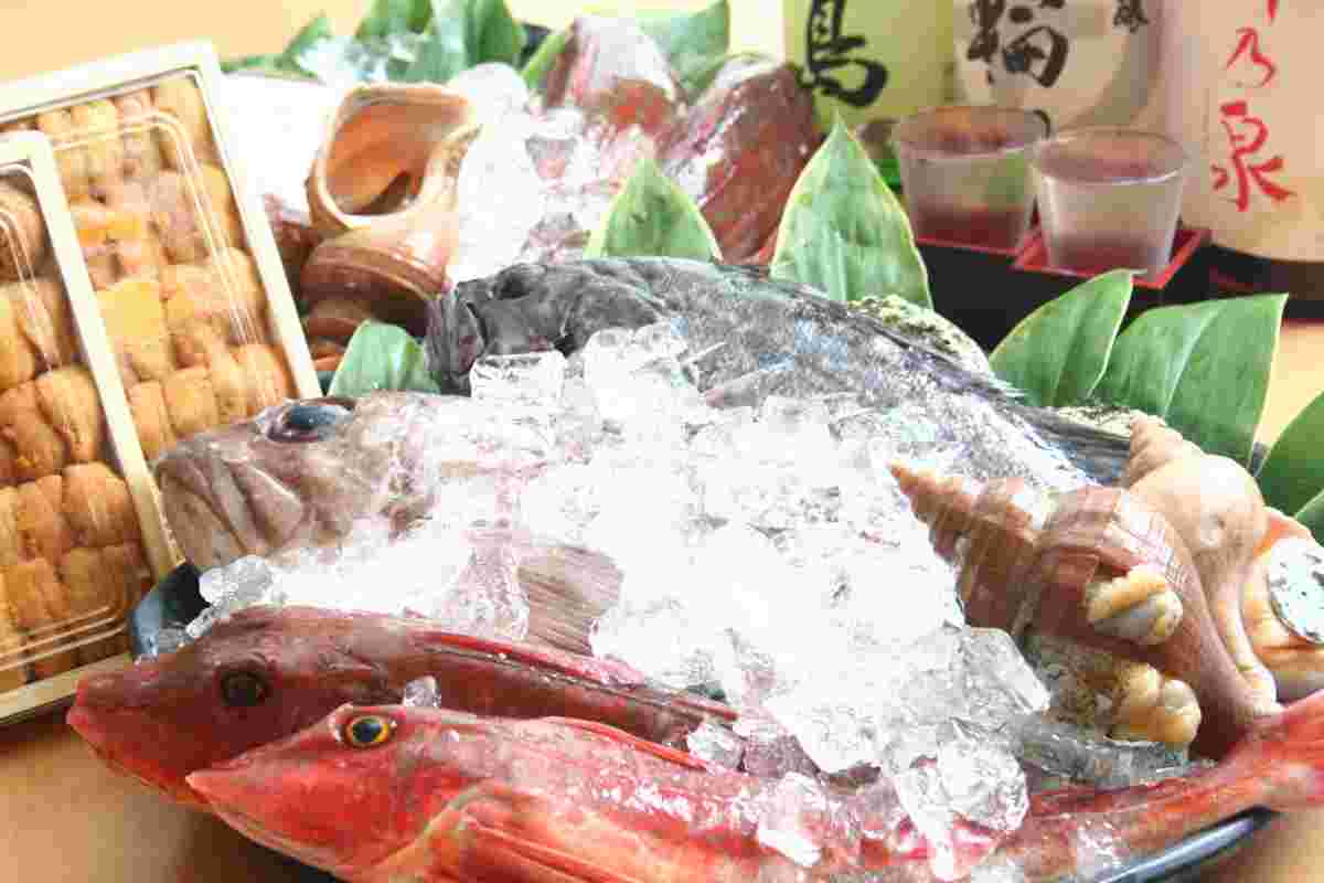 志津川水産の魚介