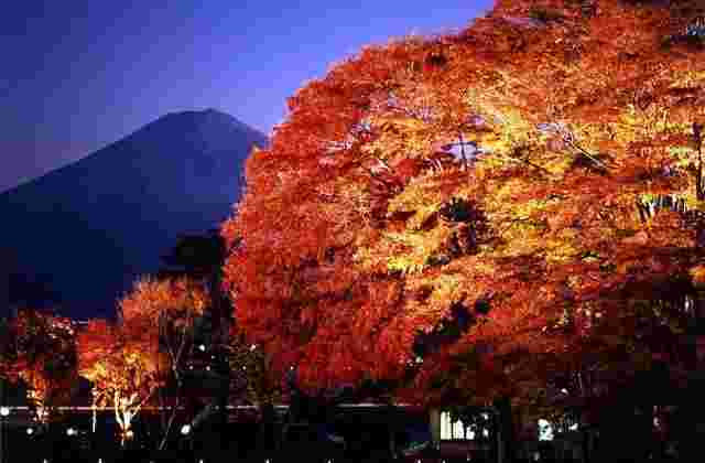 紅葉