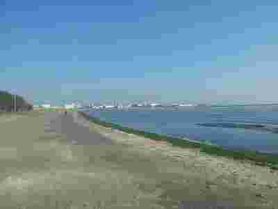 砂浜