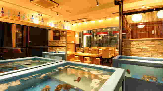 イカセンター店内