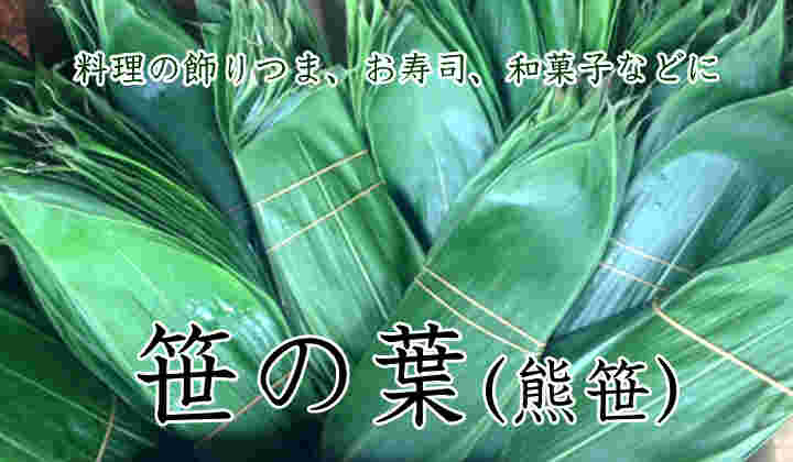 笹の葉の用途について