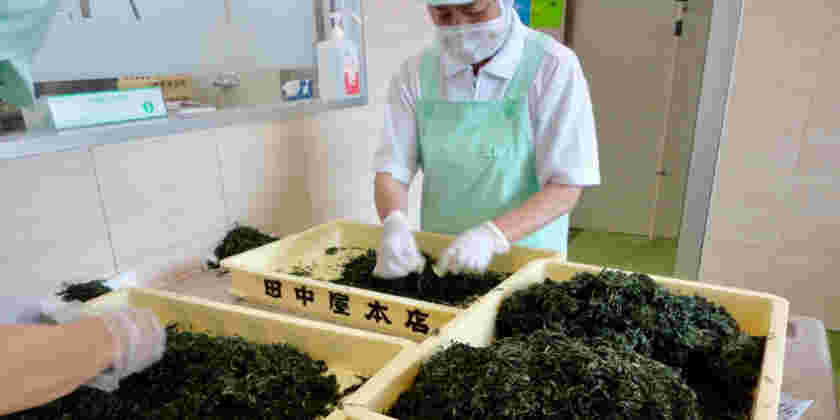 よもぎを入れる前の作業