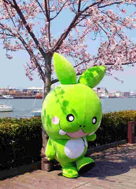 新潟ご当地キャラクター「ササダンゴン」