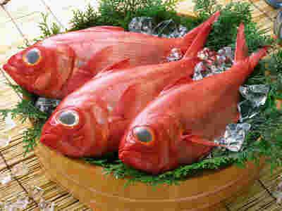 生の金目鯛
