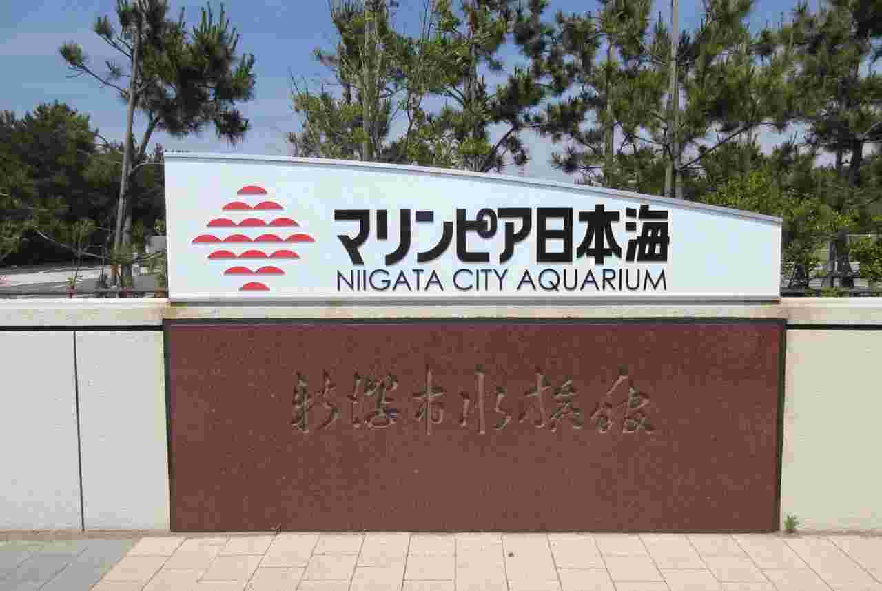 マリンピア日本海