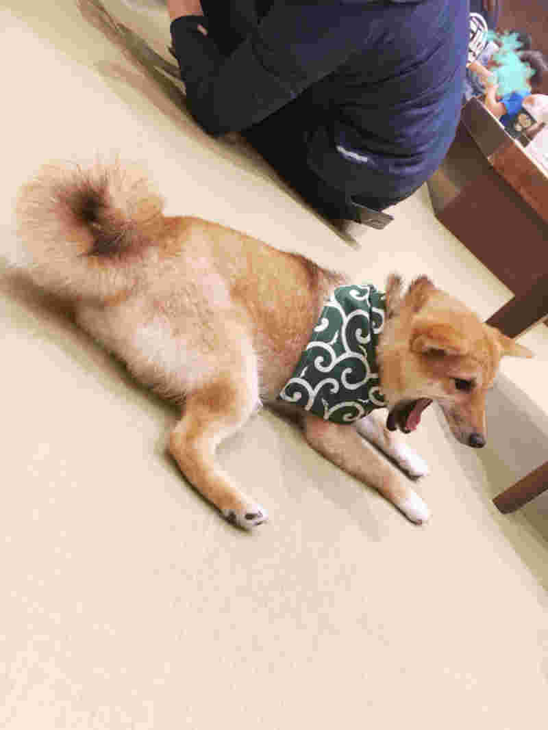 眠いのかな？