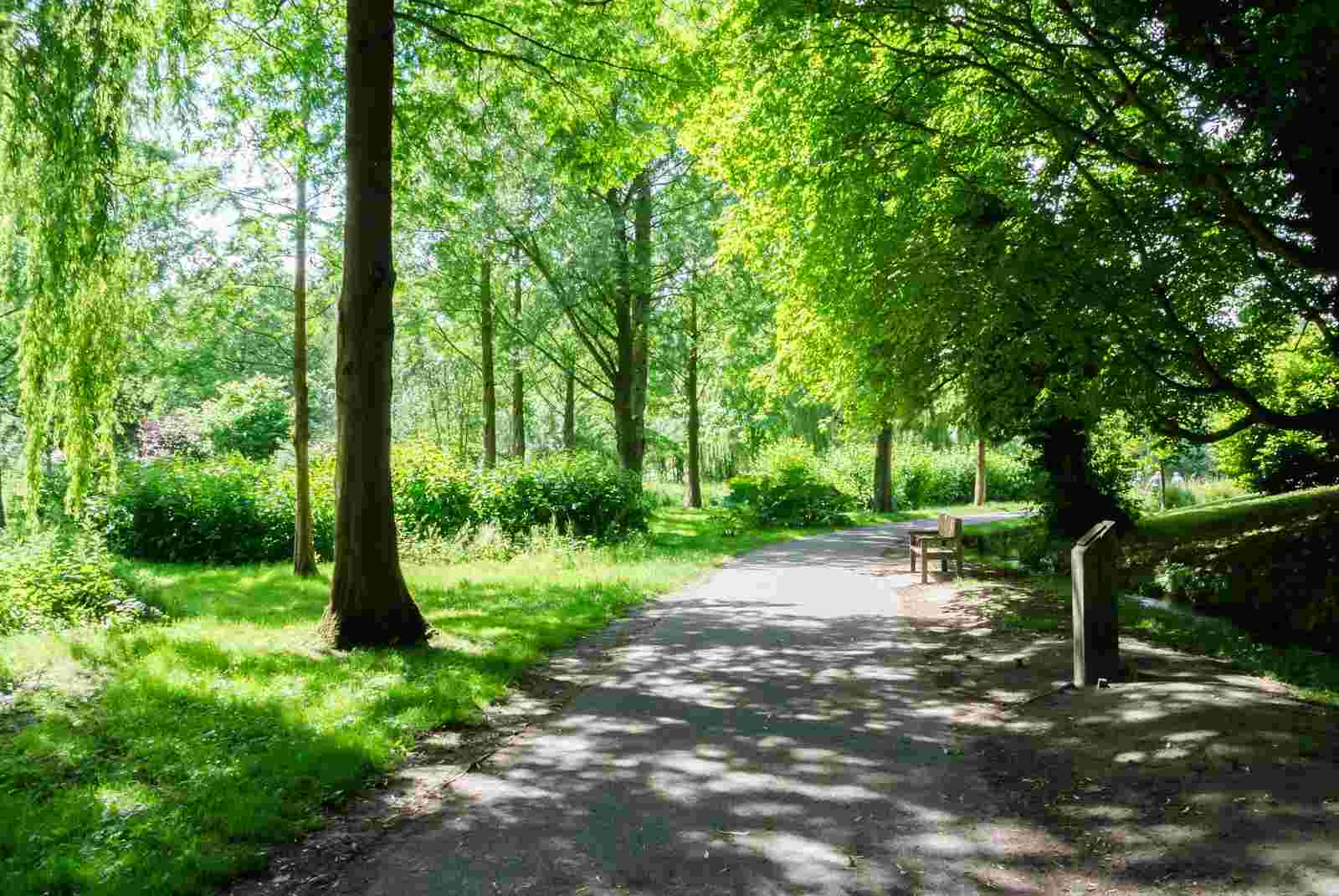 公園
