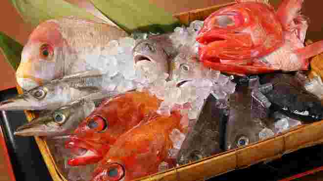 豊洲市場直送の鮮魚