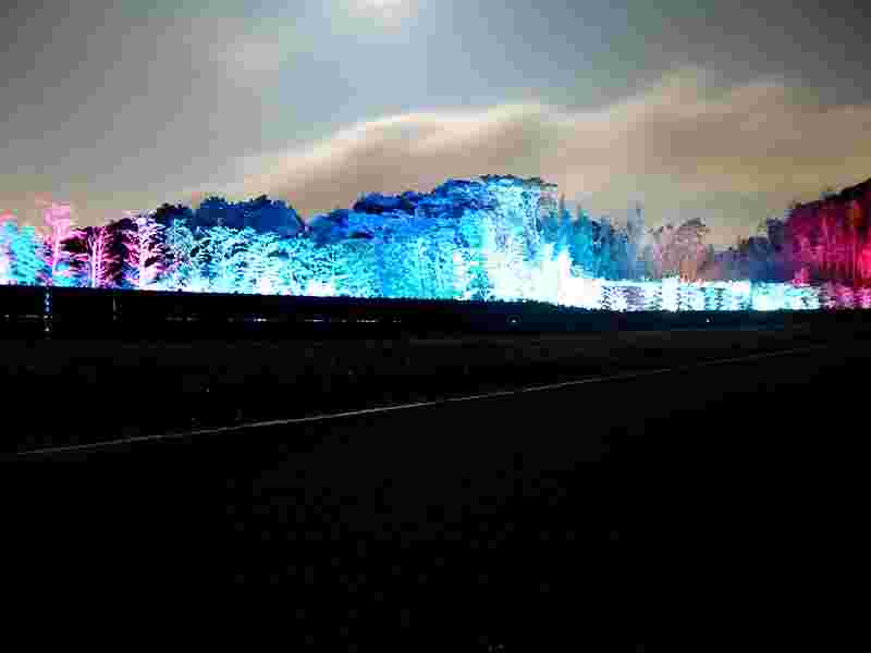 音と光の茶庭の絶景