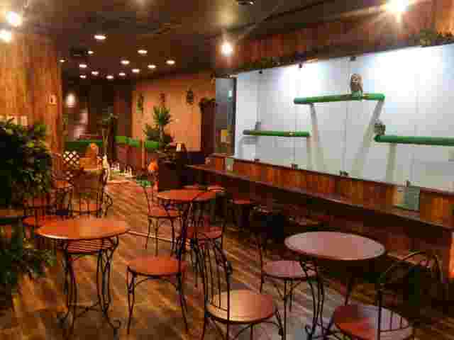 ふくろうカフェ Rickyの店内の様子