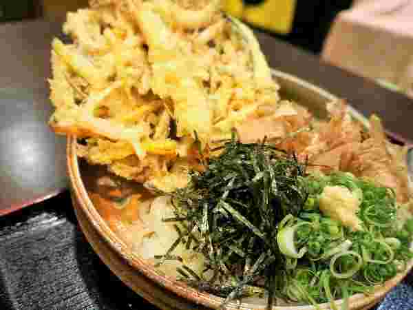 大地のうどんのかきあげぶっかけ
