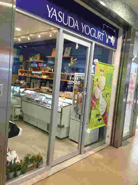 「ヤスダヨーグルトCoCoLo南館店」外観