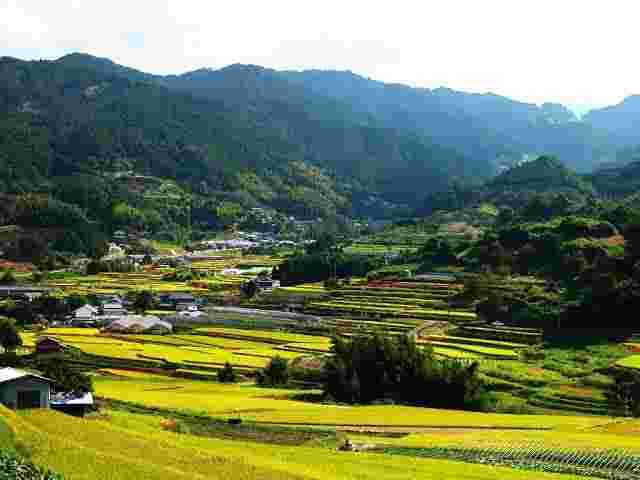 明日香村