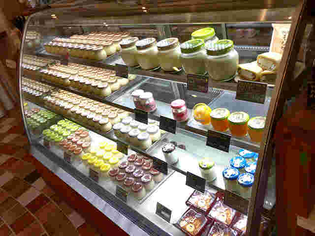 プリンの森ショーケース
