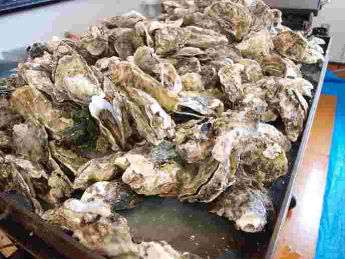 牡蠣小屋MATSUの食べ放題