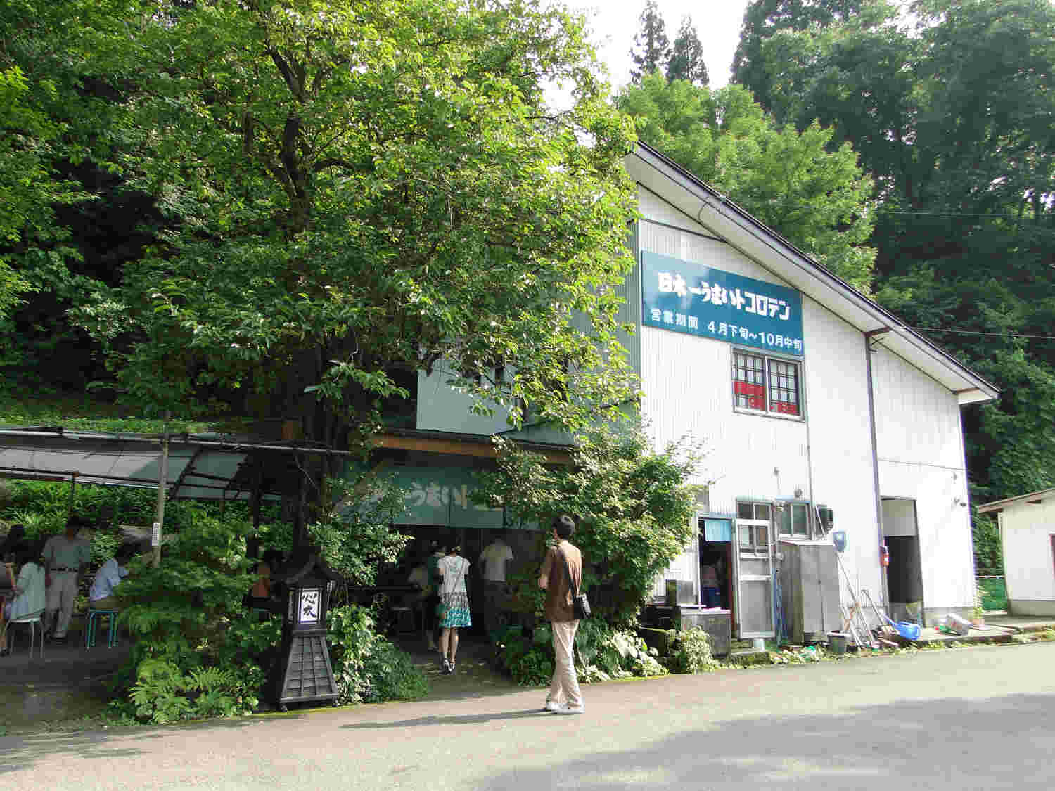 木に覆われた店内には沢山のお客