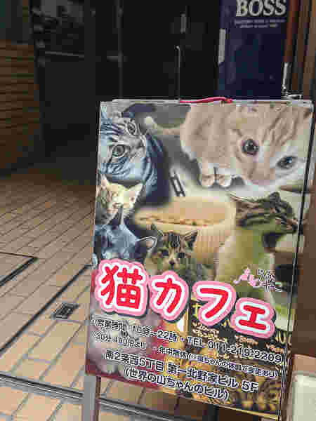 らぶねこ