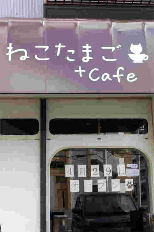 ねこたまご+カフェ