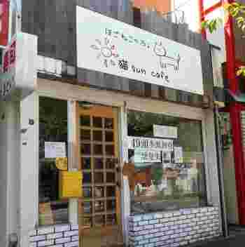 猫suncafe