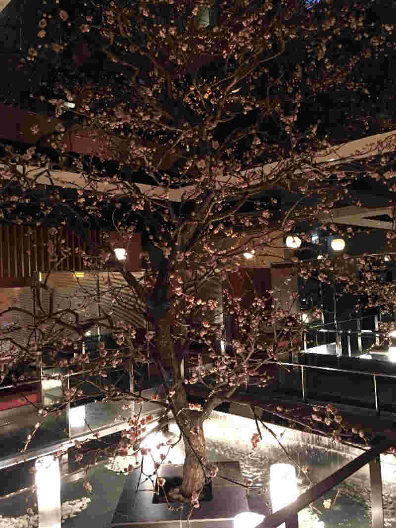 店内の桜