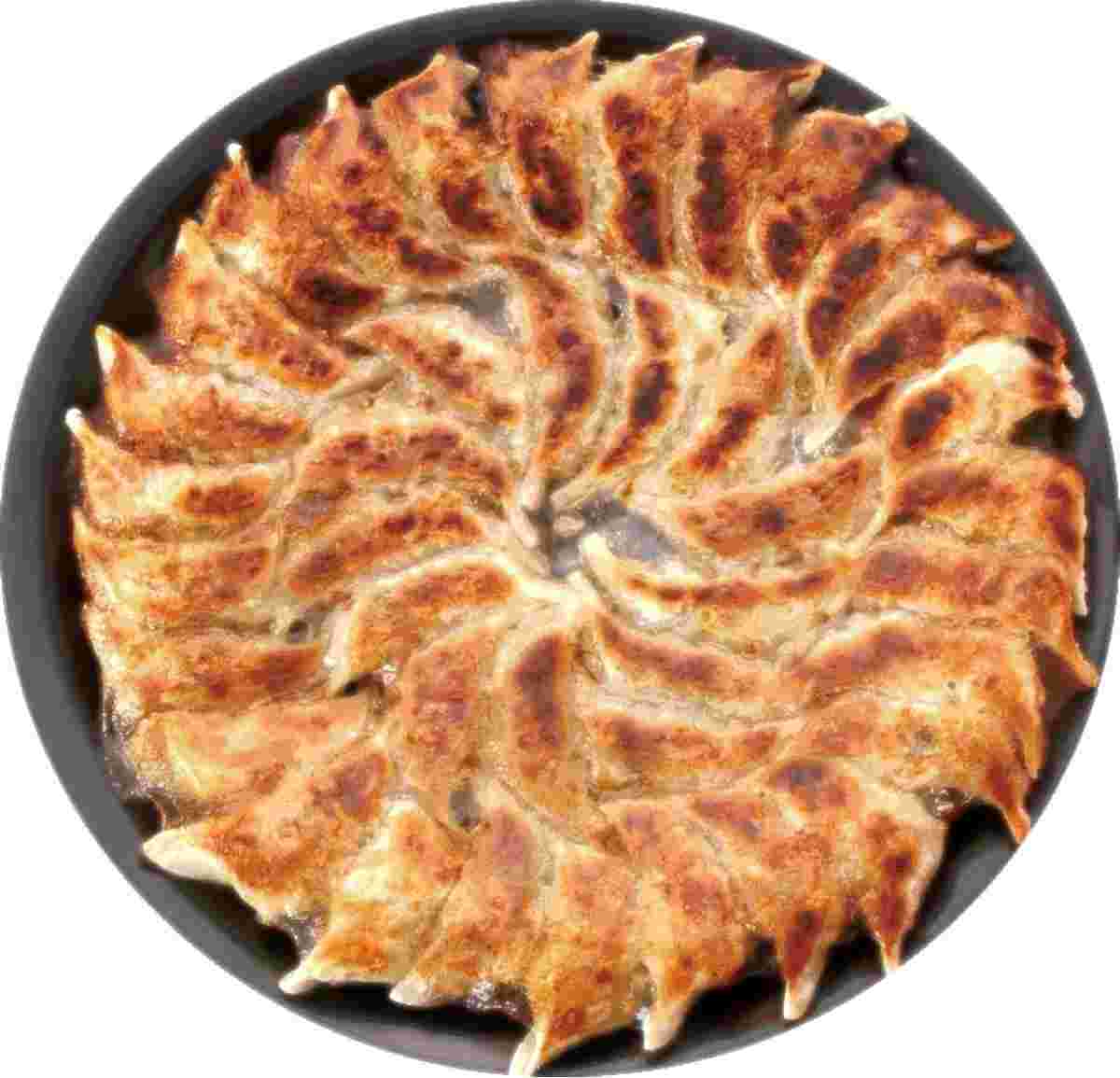 博多餃子舎603の餃子