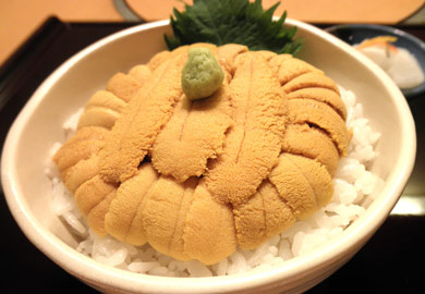 函館うに むらかみ