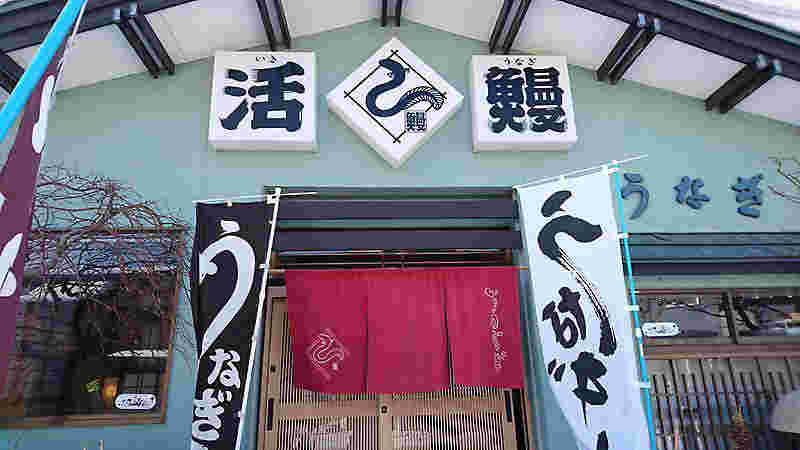 活鰻の店頭