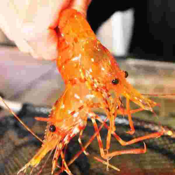 水槽から取り出した魚介