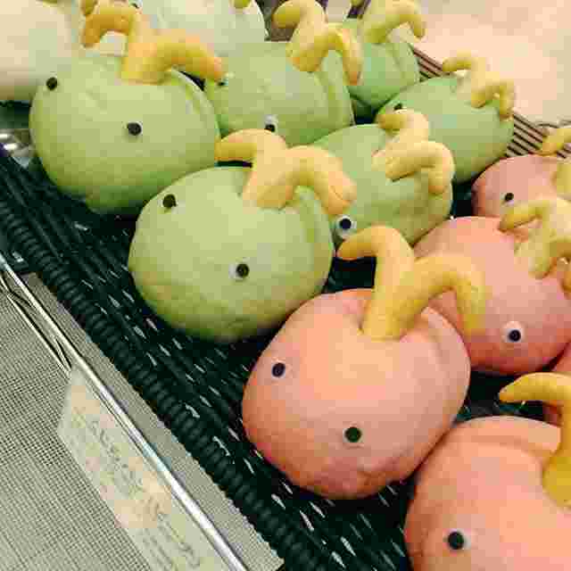 クジラパン