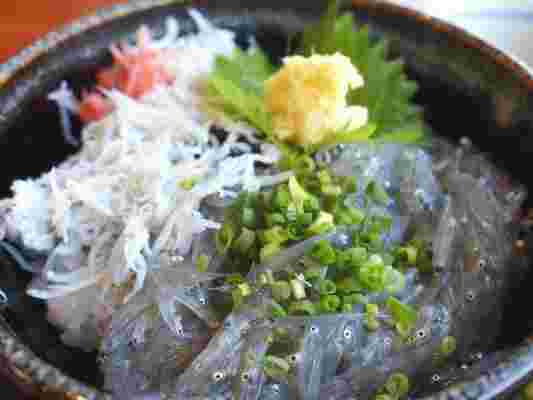 神奈川の旬のグルメ・生しらす丼