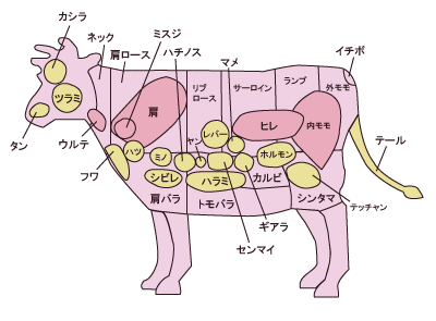 牛肉の部位と名前イラスト