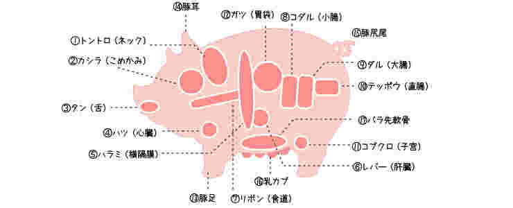 豚肉の部位