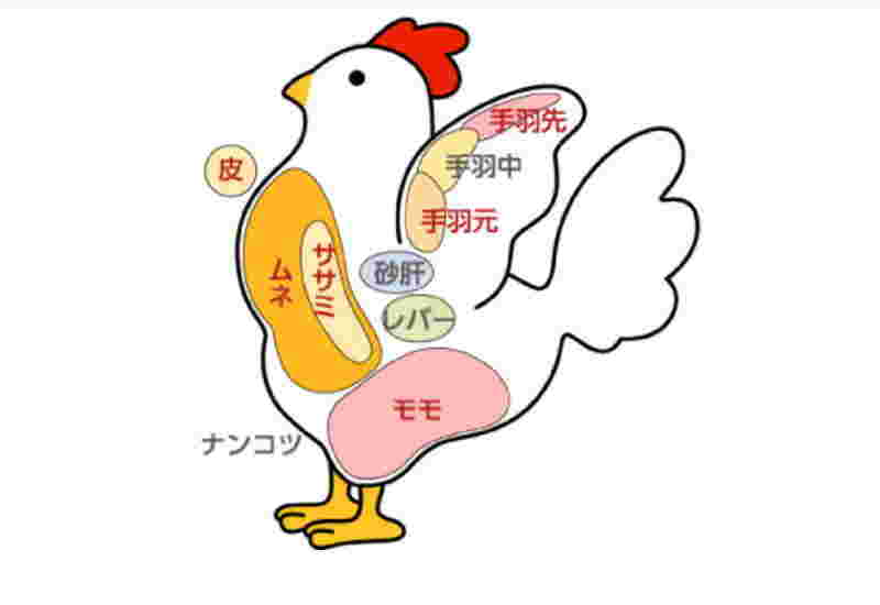 鶏肉の部位イラスト