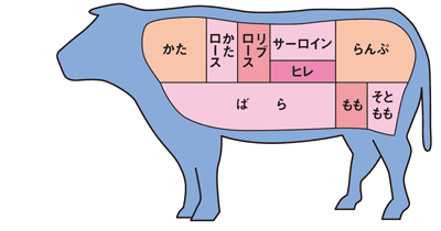 牛の肉の部位のイラスト