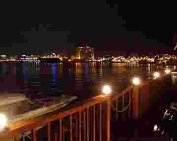 シロクマからみる夜景
