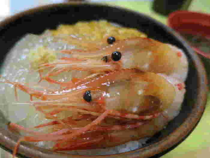 きくよ食堂本店の3種お好み丼