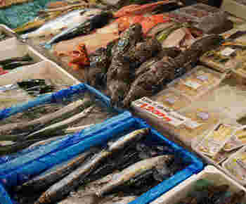 前鮮魚店の地魚