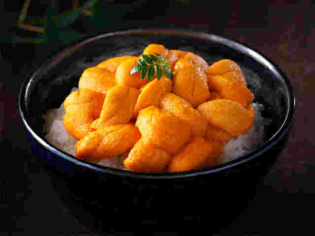 獲れたて生うに丼