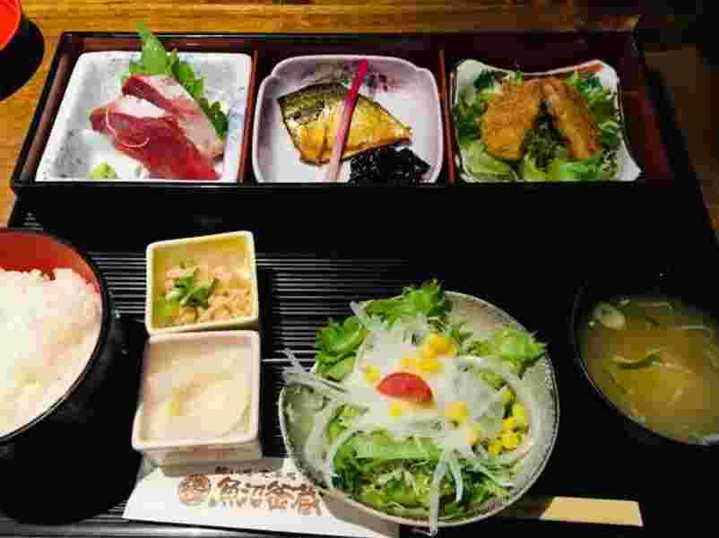 三切り弁当の画像。刺身、焼き魚、タレかつと名物を全部楽しめる！