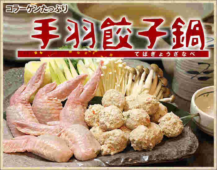 水郷のとりやさんの手羽餃子鍋