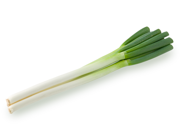 ねぎ