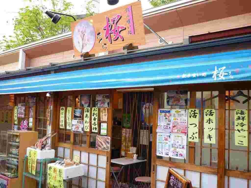 居酒屋桜